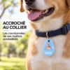 Chien portant un pendentif NFC au collier, coordonnées du maître accessibles en un scan
